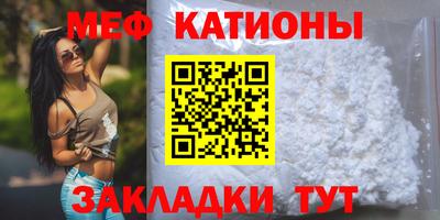 индика Заводоуковск