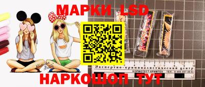 индика Заводоуковск