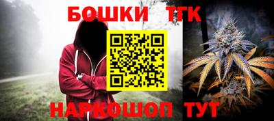 индика Заводоуковск