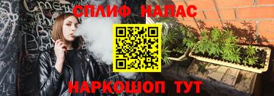 индика Заводоуковск