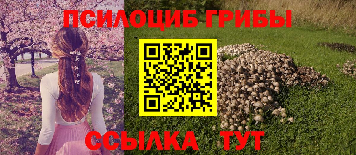 Минусинск  Псилоцибиновые грибы Magic Shrooms  Вход с VPN 